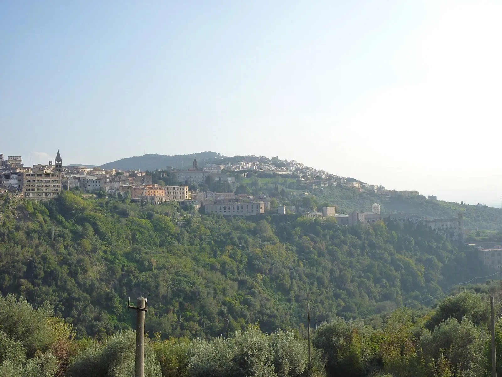 Tivoli vista dalla valle: il centro abitato sul crinale con i campanili, sopra un versante coperto di boschi e uliveti, in una giornata di sole